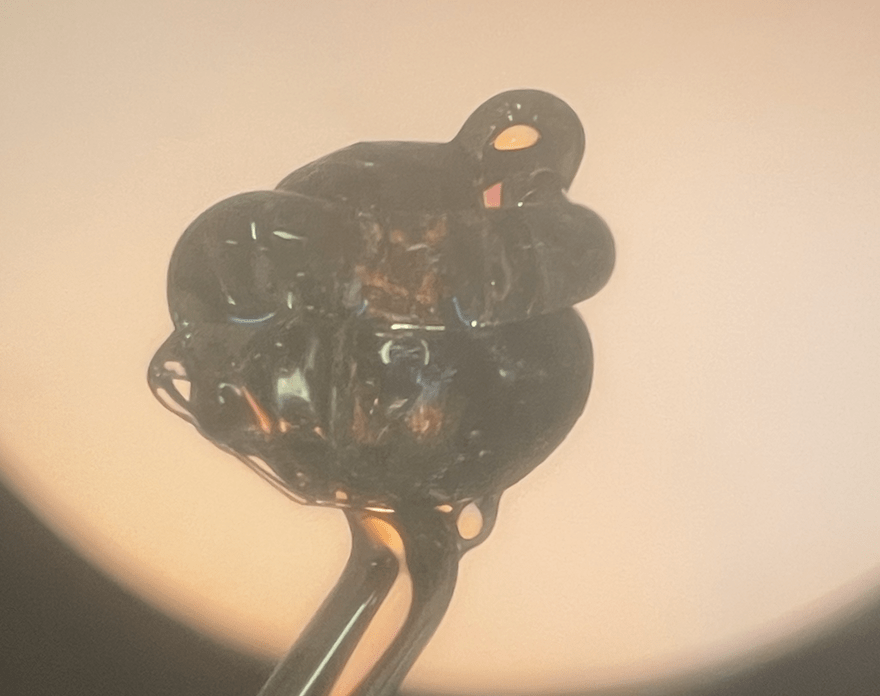 Flameworked borosilicate glass under a polariscope