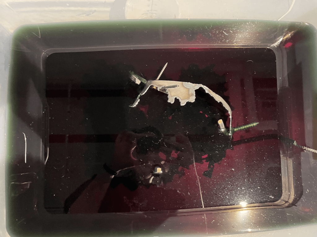 We R Trashy: An Exhibit Review and Reflection, Fall&nbsp;2022